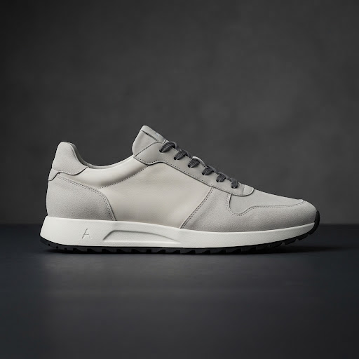 Example 2D input photo of a sneaker